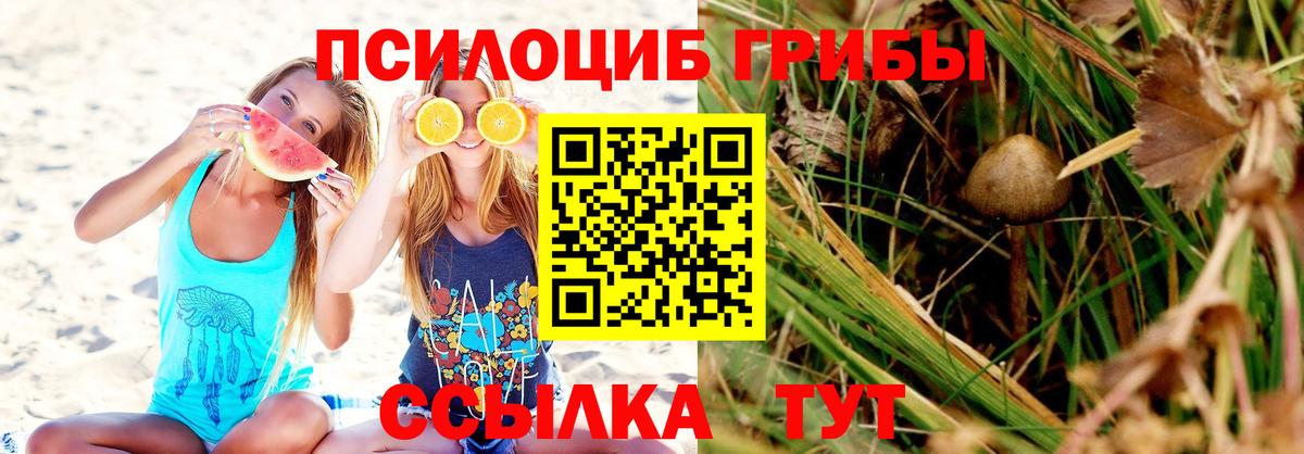 Псилоцибиновые грибы мухоморы  Галлюциногенные грибы мицелий  Нижний Новгород  Вход с VPN 